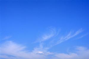 東本願寺浅草浄苑のお墓について