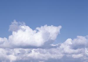 東本願寺が提案する新しい形の墓地はここにあります