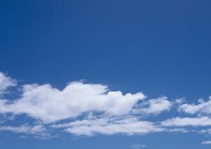 東京で墓地を探すのは難しくはありません