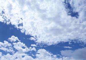 東京・東本願寺が提案する新しい墓地のありかた